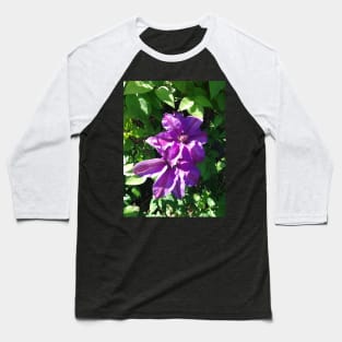 Purple clematis photograph Baseball T-Shirt